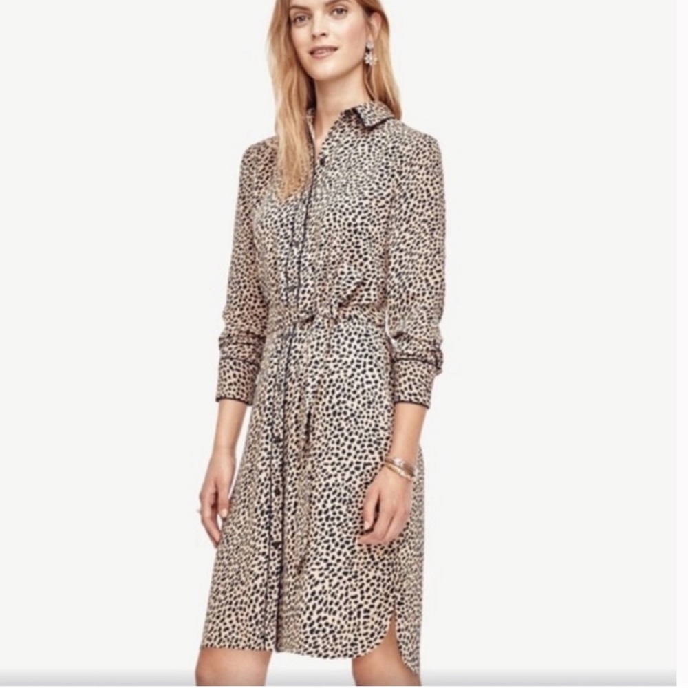 Ann Taylor cheetah animal print shirtdress, XXS Petite